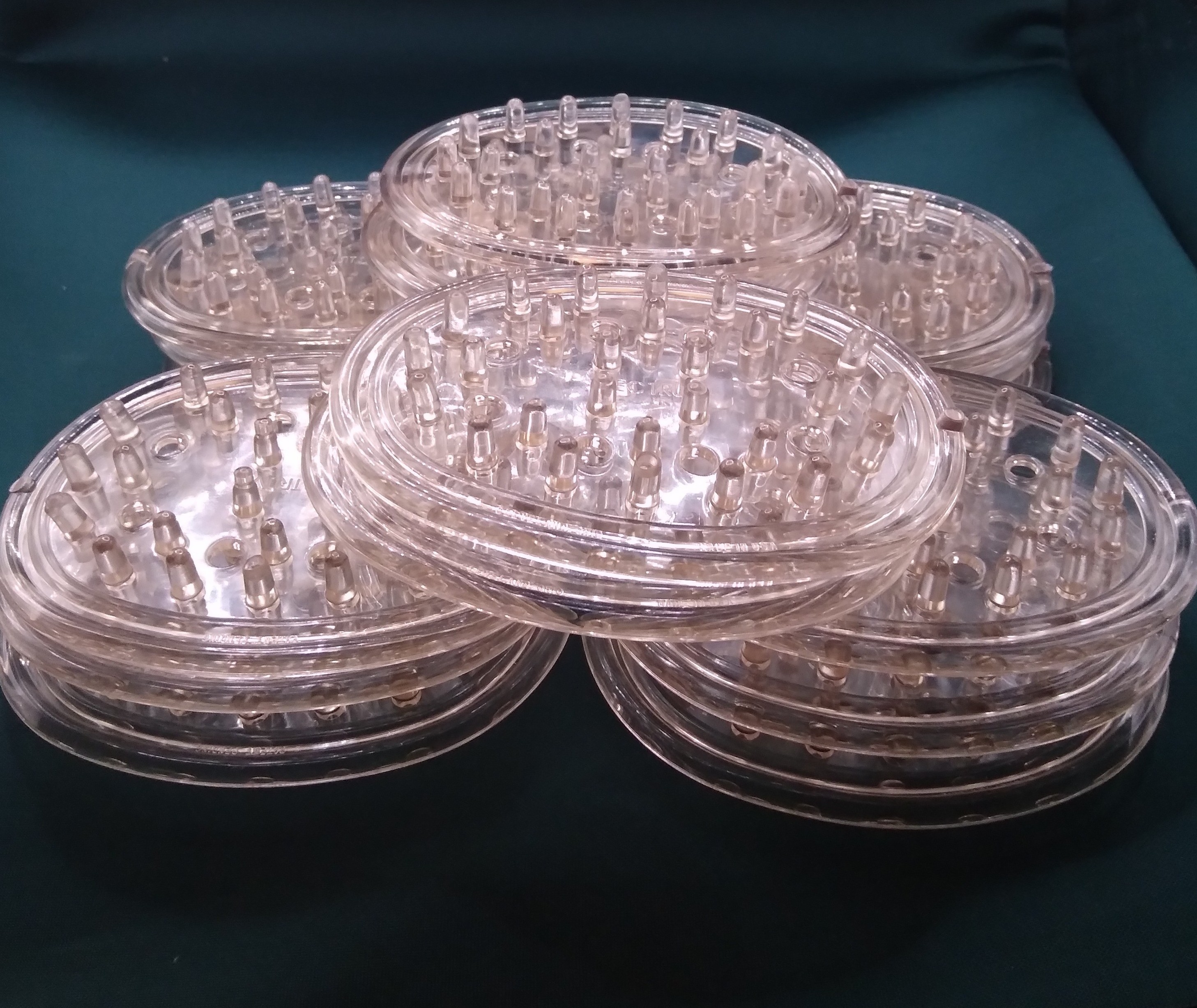 large5
